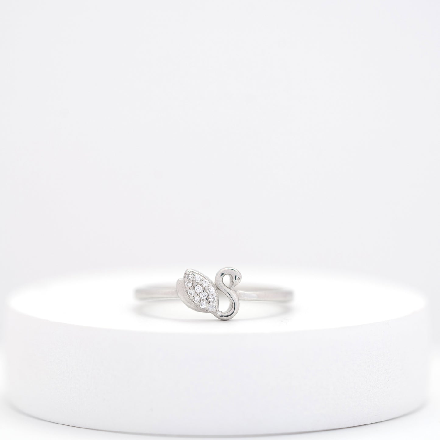 Silver san ring on a white stand